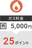 ガス料金 例：5,000円→25ポイント
