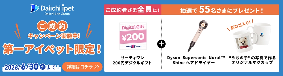 ������L�����y�[�����{�� ���A�C�y�b�g����I ������҂��ܑS���ɁI �T�[�e�B����200�~�f�W�^���M�t�g + ���I��55�����܂Ƀv���[���g�I 5�����܂Ƀv���[���g�IDyson Supersonic Nural&trade; Shine �w�A�h���C���[ 50�����܂Ƀv���[���g�I �V���S����I�g�����̎q�h�̎ʐ^�ō��I���W�i���}�O�J�b�v ���Ԍ��� 2026/6/30�i�΁j�܂ŁI �ڍׂ̓R�`��