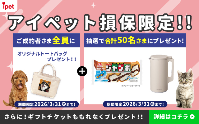 アイペット損保限定!! ご成約者さま全員にオリジナルトートバッグプレゼント!! 期間限定 2026/3/31(火)まで! + 抽選で合計50名さまにプレゼント! 期間限定 2026/3/31(火)まで! さらに!ギフトチケットももれなくプレゼント!! 詳しくはコチラ