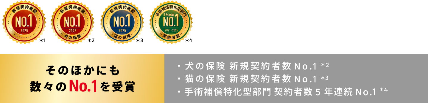 ̂قɂXNo.1