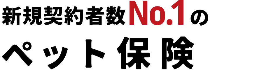VK_ҐNo.1̃ybgی
