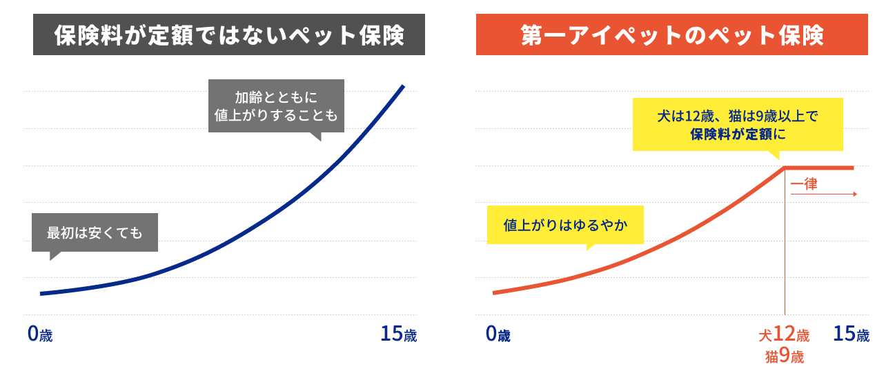 �ی�������C���[�W